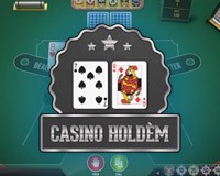 Playtech - игровой автомат онлайн от Various с RTP 96%